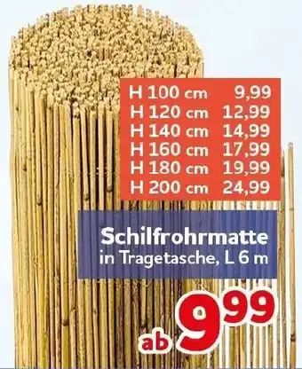CENTERSHOP Schilfrohrmatte Angebot