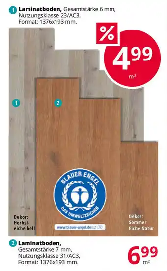 Hammer Laminatboden Angebot