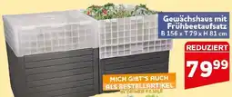 CENTERSHOP Gewächshaus mit Frühbeetaufsatz Angebot