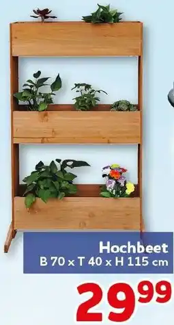 CENTERSHOP Hochbeet Angebot