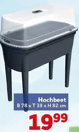 CENTERSHOP Hochbeet Angebot