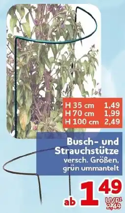 CENTERSHOP Busch und Strauchstütze Angebot