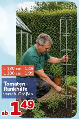 CENTERSHOP Tomaten Rankhilfe Angebot