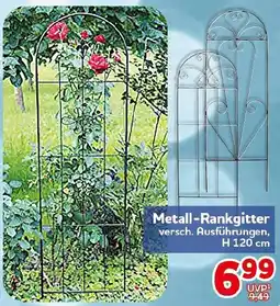 CENTERSHOP Metall-Rankgitter Angebot