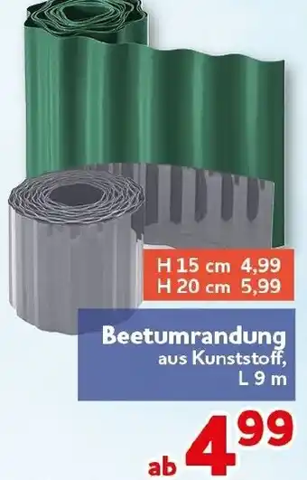 CENTERSHOP Beetumrandung Angebot