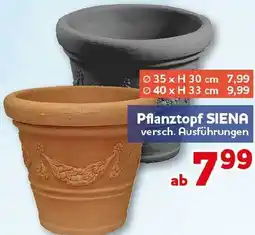 CENTERSHOP Pflanztopf SIENA Angebot