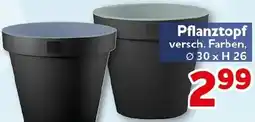 CENTERSHOP Pflanztopf Angebot