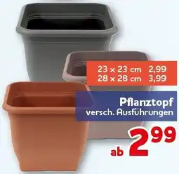 CENTERSHOP Pflanztopf Angebot