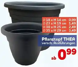 CENTERSHOP Pflanztopf THEA Angebot