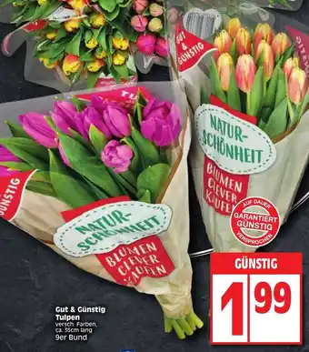 Edeka Gut & Günstig Tulpen Angebot