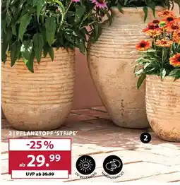 Dehner Pflanztopf 'stripe' Angebot