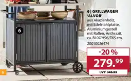 Dehner Grillwagen 'alvor' Angebot