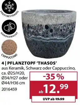Dehner Pflanztopf 'thasos' Angebot