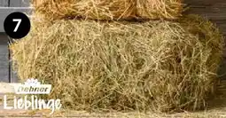Dehner Dehner Lieblinge Wiesenheuballen Angebot