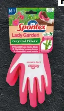 Handelshof Spontex Handschuhe Angebot