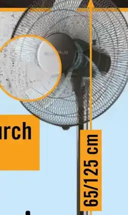 Hornbach Bluepalm Stand- und Tischventilator 2in1 Angebot