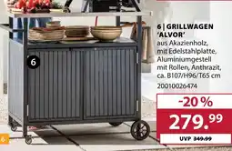 Dehner Grillwagen 'alvor' Angebot