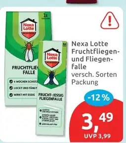 Budni Nexa lotte fruchtfliegenfalle Angebot