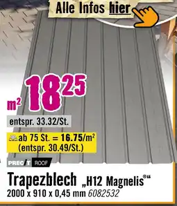 Hornbach Precit roof trapezblech „h12 magnelis “ Angebot