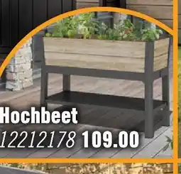 Hornbach Hochbeet Angebot