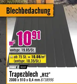 Hornbach Precit roof trapezblech h12 Angebot