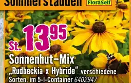 Hornbach Floraself sonnenhut-mix Angebot