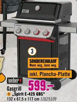 Hornbach Weber gasgrill spirit e-425 gbs Angebot