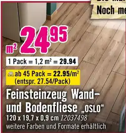 Hornbach Feinsteinzeug wand- und bodenfliese oslo Angebot