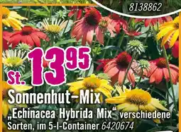 Hornbach Sonnenhut-mix „echinacea hybrida mix“ Angebot