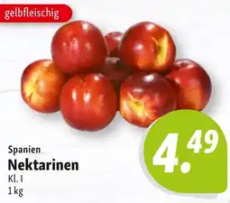 Nah & Frisch Spanien Nektarinen Angebot