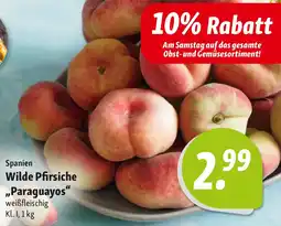Nah & Frisch Spanien Wilde Pfirsiche ,,Paraguayos" Angebot