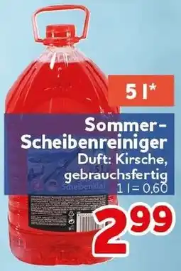 CENTERSHOP Sommer Scheibenreiniger Angebot