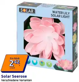 Action Solar Seerose Angebot