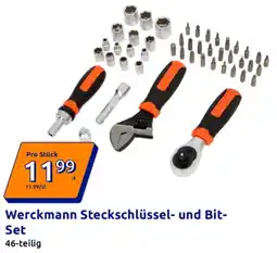 Action Werckmann Steckschlüssel- und Bit Set Angebot