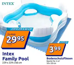 Action Intex Family Pool Angebot