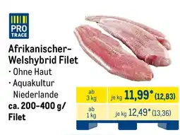 METRO Afrikanischer- Welshybrid Filet Angebot