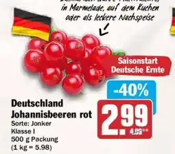 AEZ Johannisbeeren rot Angebot