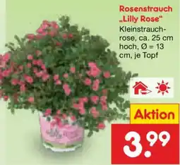 Netto Marken-Discount Rosenstrauch Lilly Rose Angebot