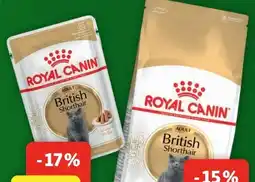 Fressnapf Royal Canin British Shorthair Angebot
