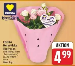 E-Center Edeka topfrosen Angebot