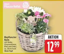 E-Center Bepflanzter korb Angebot