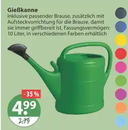 V Markt Gießkanne Angebot