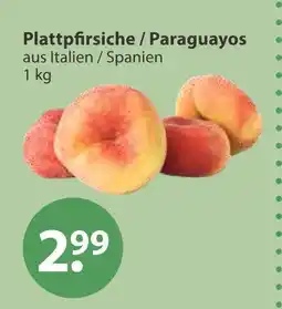 V Markt Plattpfirsiche / paraguayos Angebot