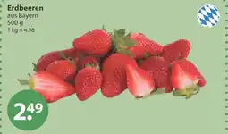 V Markt Erdbeeren Angebot