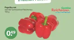 V Markt Paprika rot Angebot