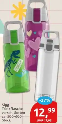 Budni Sigg Trinkflasche Angebot