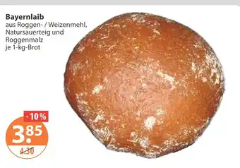 V Markt Bayernlaib Angebot