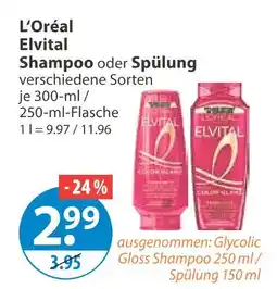 V Markt L'oréal elvital shampoo Angebot