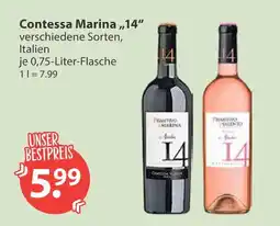 V Markt Contessa marina wein 14 Angebot