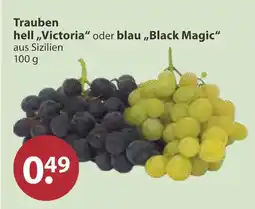 V Markt Trauben hell „victoria“ Angebot